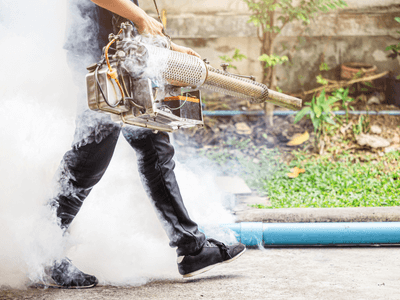 About Graysville Residential Pest Control - residential pest control experts in Graysville
