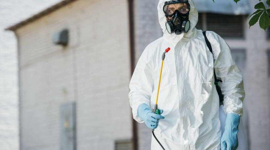 Professional residential pest control services in Graysville - Graysville Residential Pest Control
